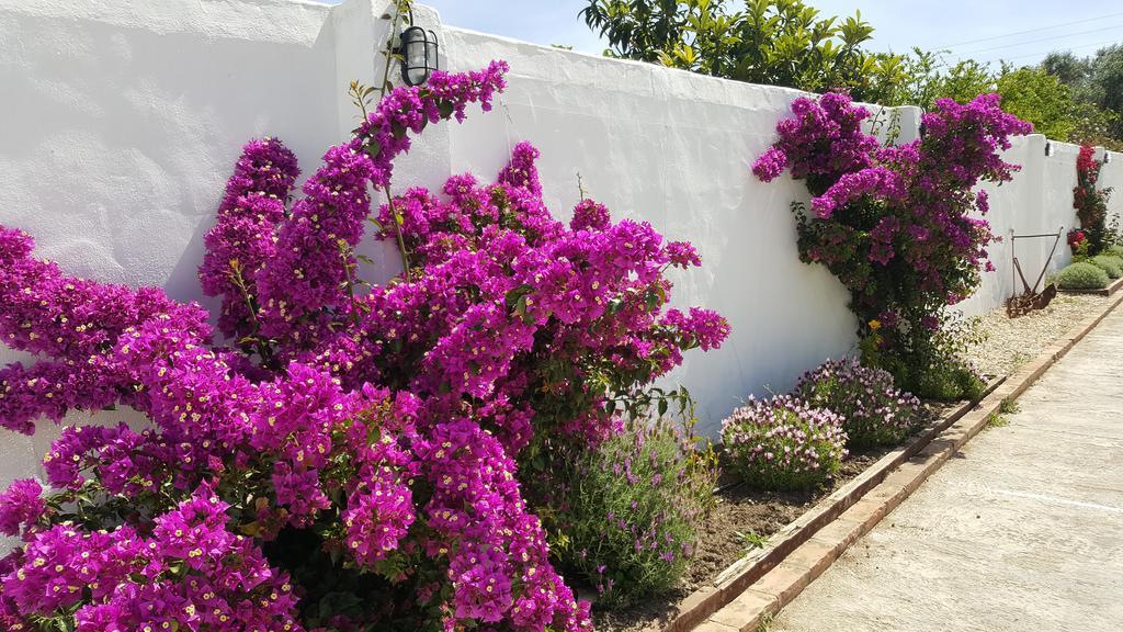 La Posada Del Duende Arcos de la Frontera Buitenkant foto