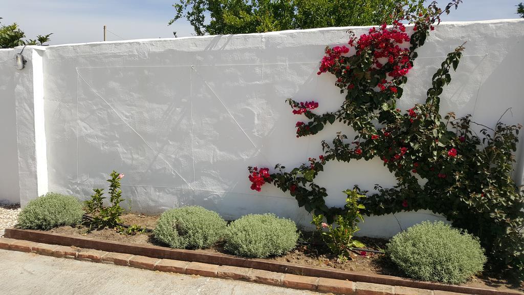 La Posada Del Duende Arcos de la Frontera Buitenkant foto